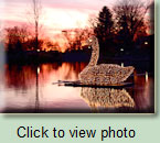 Sparkle Plenty - 2017